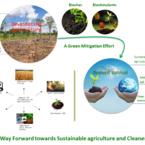 Weather's Impact in Agriculture