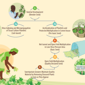 Weather's Impact in Agriculture